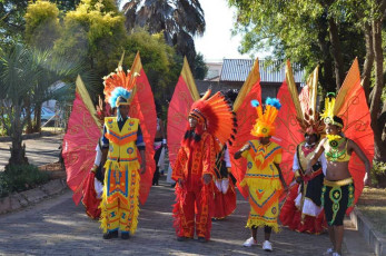 South-Africa-2011-16