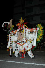 Traditional-Carnival-2006-22