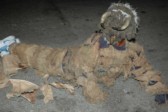 Traditional-Carnival-2006-43