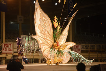 c007-2016-Kings-Queens-17