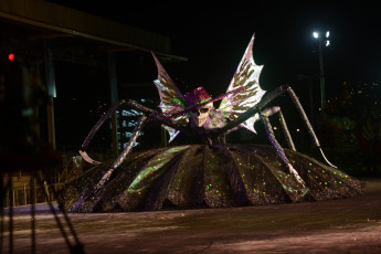 g009-2016-Kings-Queens110