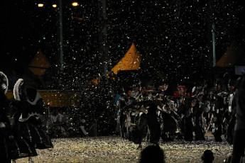 t002-2011-McFarlane-Humanity-71