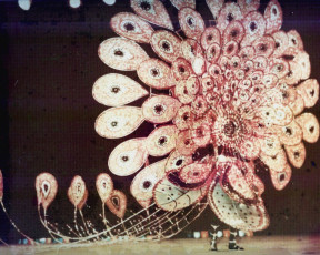 p004-1969-Queen-of-Carnival-2nd-Place-Ursula-Lewis-_Diamond-1969-Narcicsus-1969-from-the-band-Realms-of-the-sun-by-Irvine-Mc-Williams-3