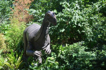 A018Central-Park-Zoo-New-York-City-2013