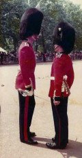 A023Changing-of-The-Guards-London-UK-1982