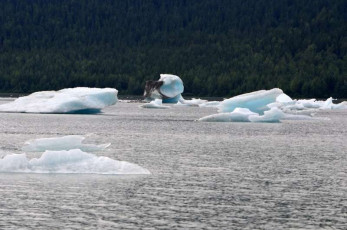 C022Glacier-Alaska-2012