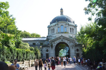 J048Bronx-Zoo-Center-NYC-2018