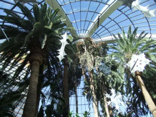 M031Las-Vegas-US-2010