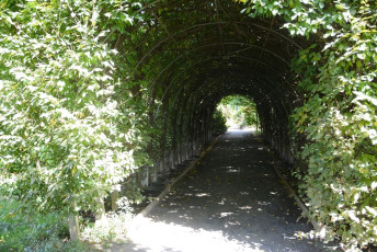 M055Snug-Harbor-Staten-Island-NYC-2019