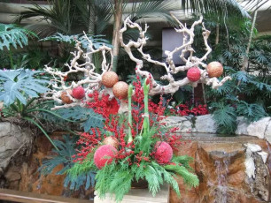 N033Las-Vegas-US-2010