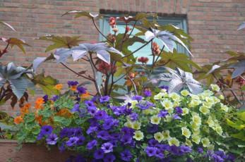 N034Public-Market-Seattle-Washington-2012