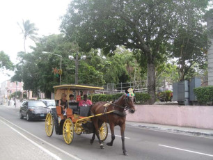 S016Nassau-Bahamas-2011