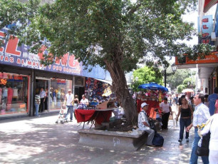 U033Polamar-Margarita-2009