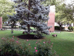 U055Staten-Island-NYC-2018