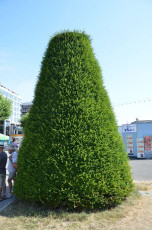 W039Geneva-Switzerland-2015