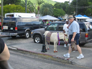 Z014St-Thomas-USVI-2007