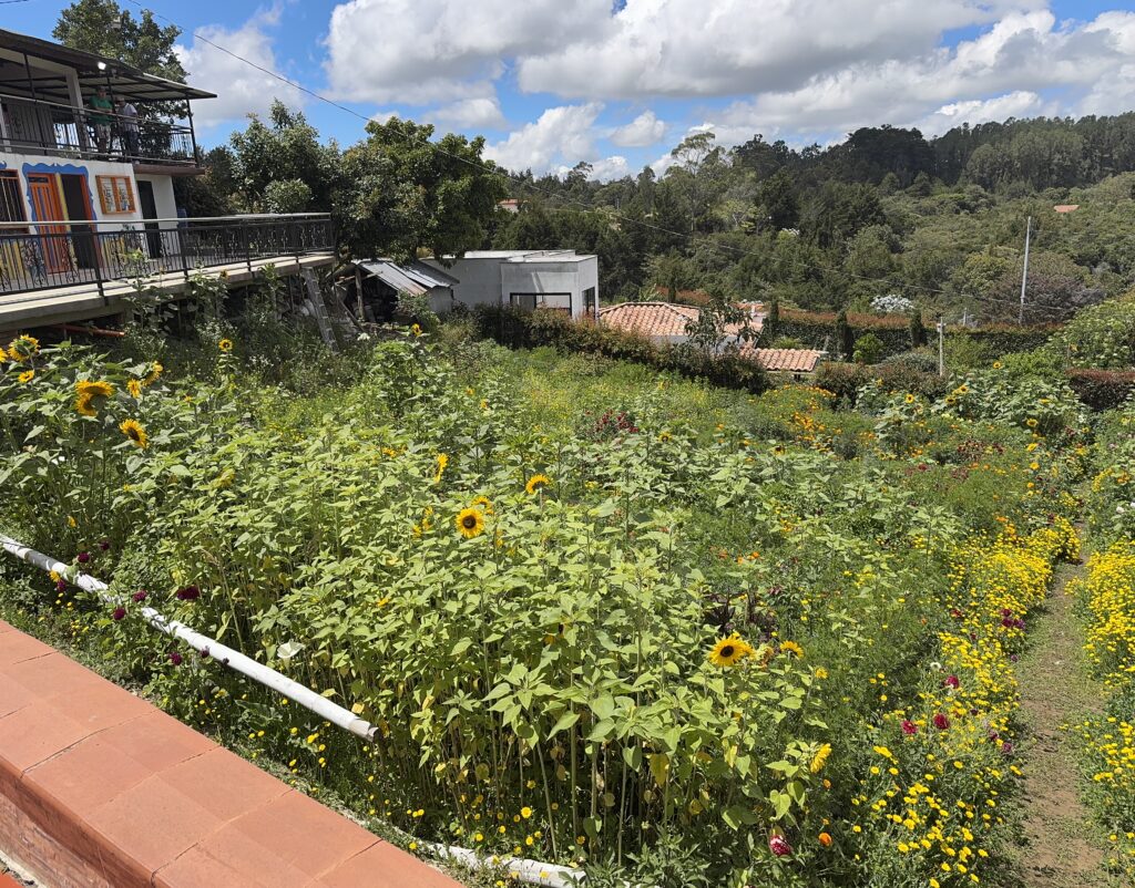 2026 Silletero Farm Santa Elena Colombia 13