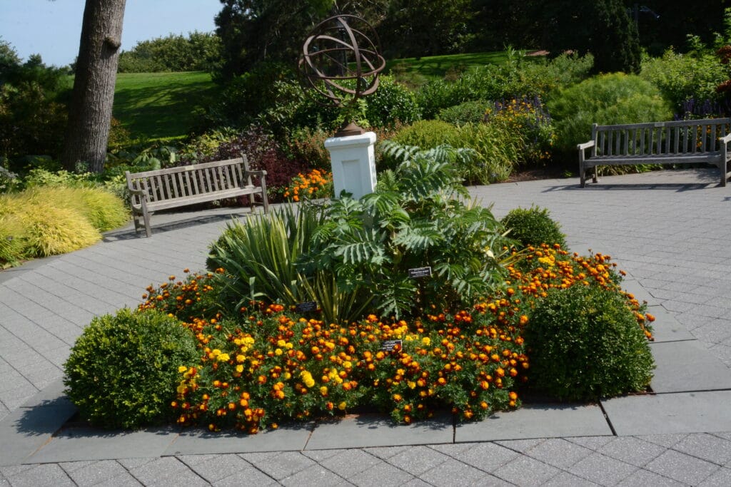 Botanic Gardens NYC 2019 (6)