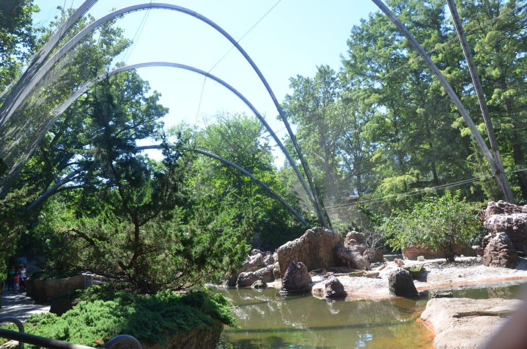 DSC_0046 – 2013 Bronx Zoo NYC