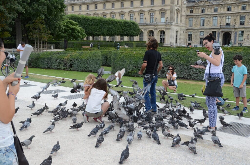 DSC_5934 – 2015 Paris France