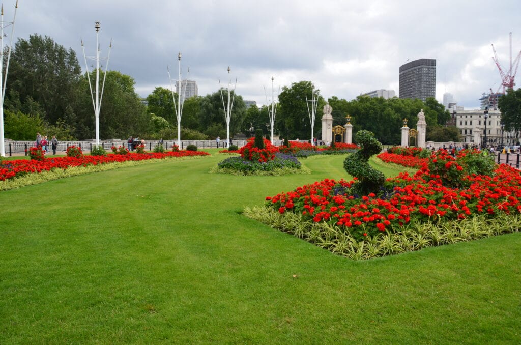 DSC_6886 – 2015 Gardens Buckingham Palace London