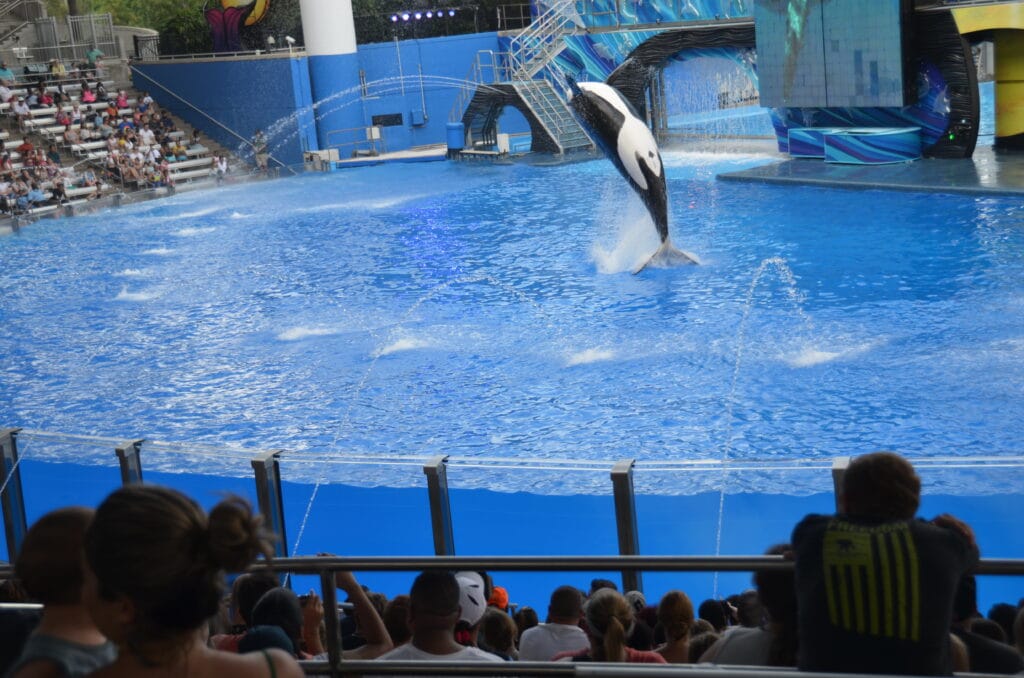 DSC_7445 – 2015 Seaworld Miami Florida