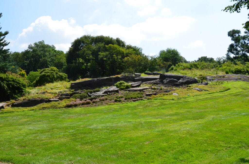 DSC_8047 – 2018 Wamsler Rock New York Botanic Gardens