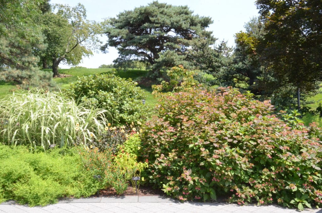 DSC_8075 – 2018 New York Botanic Gardens