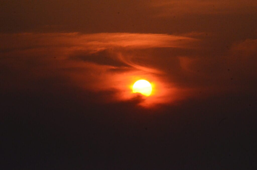 DSC_8413 – 2018 Sunset NYC