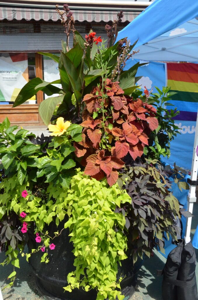 DSC_8711 – 2018 Gay Pride New Jersey