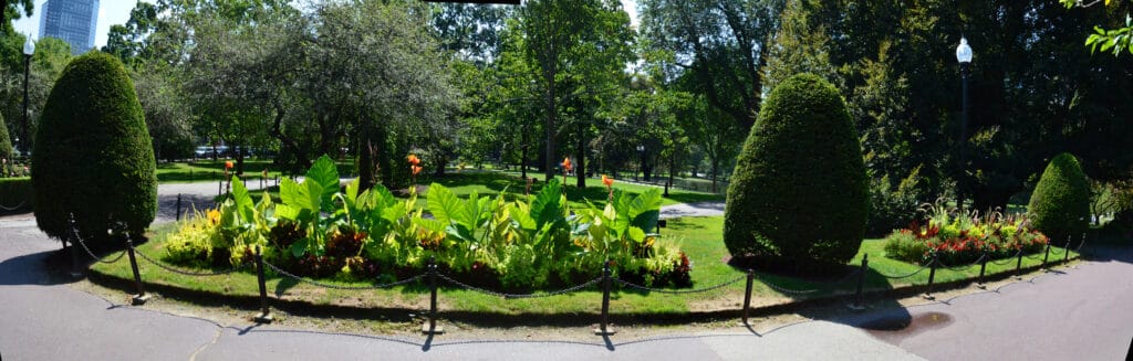 DSC_8844 – 2018 Boston Gardens Massachusetts