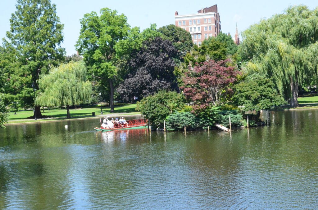 DSC_8849 – 2018 Boston Gardens Massachusetts