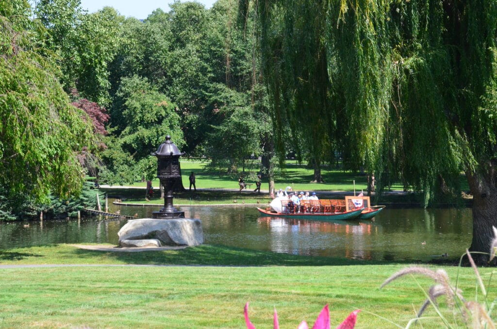 DSC_8851 – 2018 Boston Gardens Massachusetts